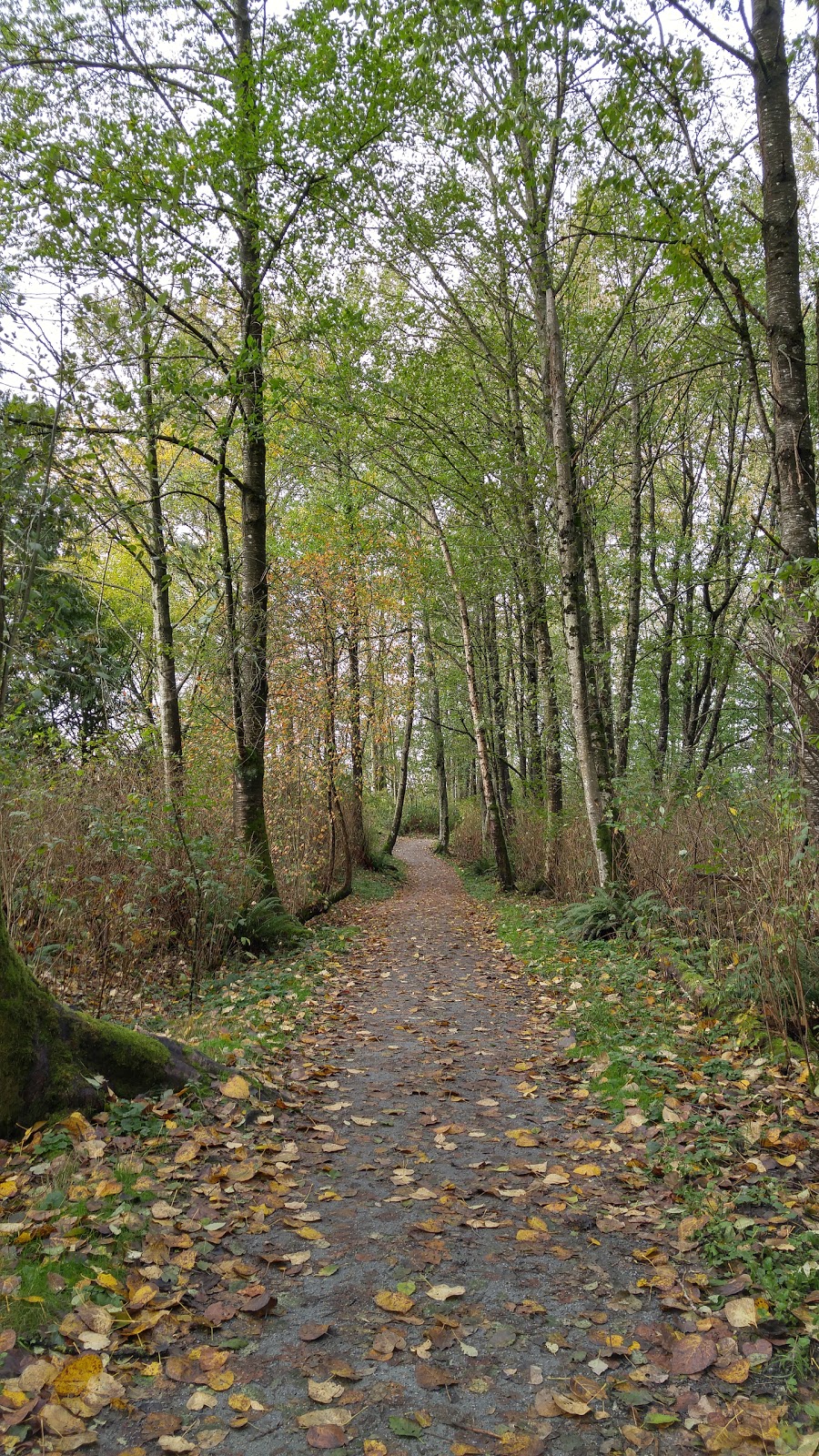 Pitt River Regional Greenway | 11208 Harris Rd, Pitt Meadows, BC V3Y 1Z1, Canada | Phone: (604) 432-6350