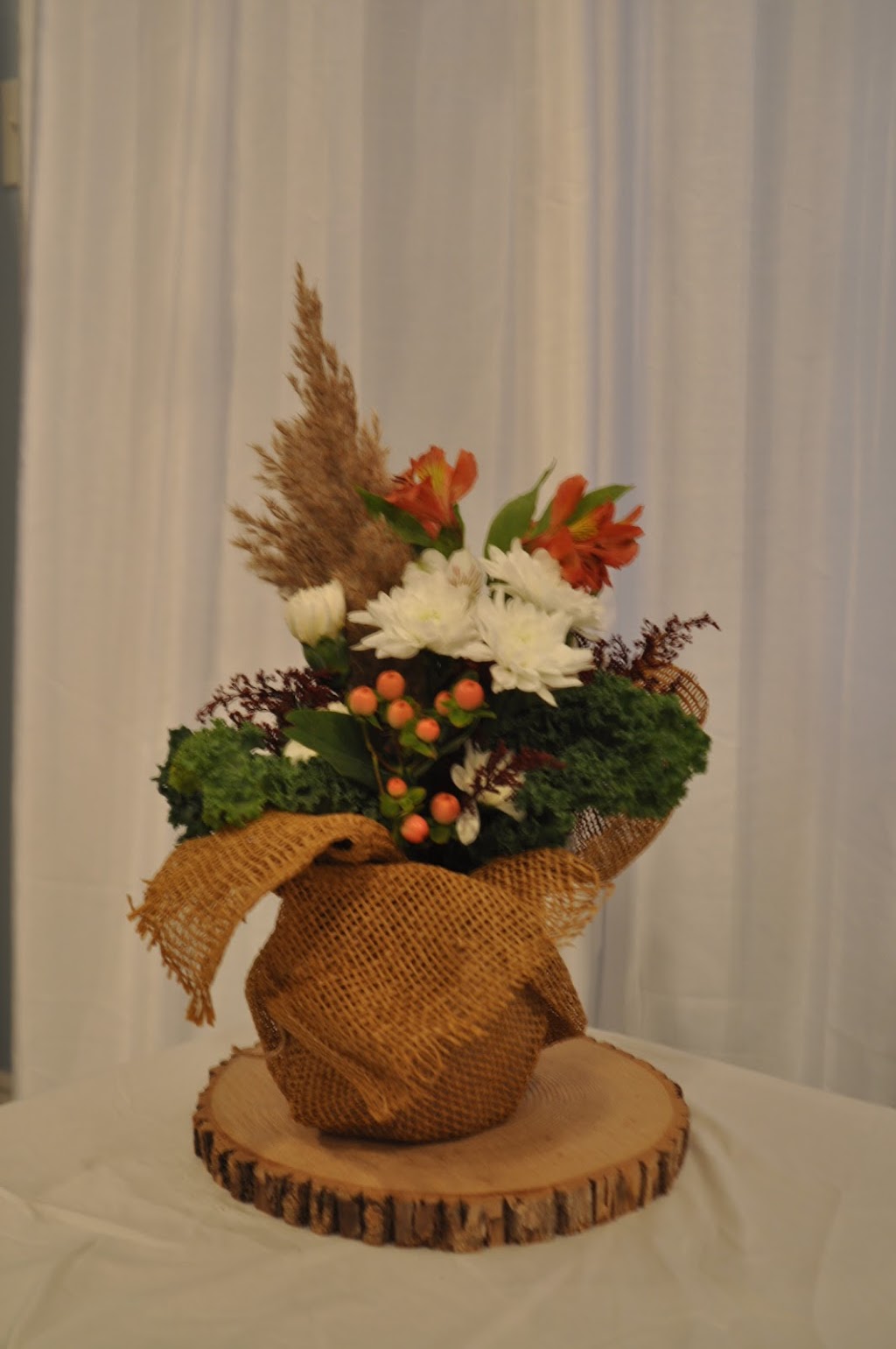 Aster & Evergreen | 2119 Dundas St Box 385, Cardinal, ON K0E 1E0, Canada | Phone: (343) 260-9911