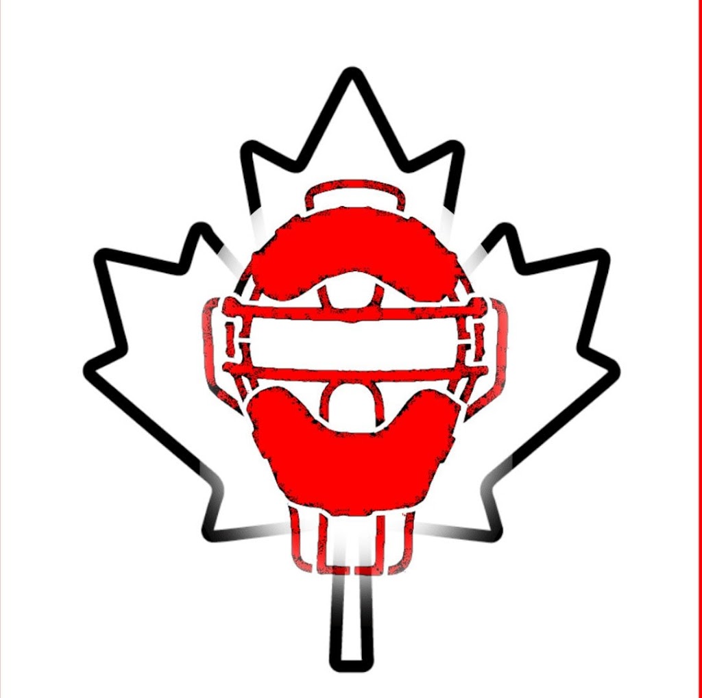 W. D. H. Catching Instruction | 8 Althorp Dr, Orangeville, ON L9W 5H7, Canada | Phone: (519) 217-4721