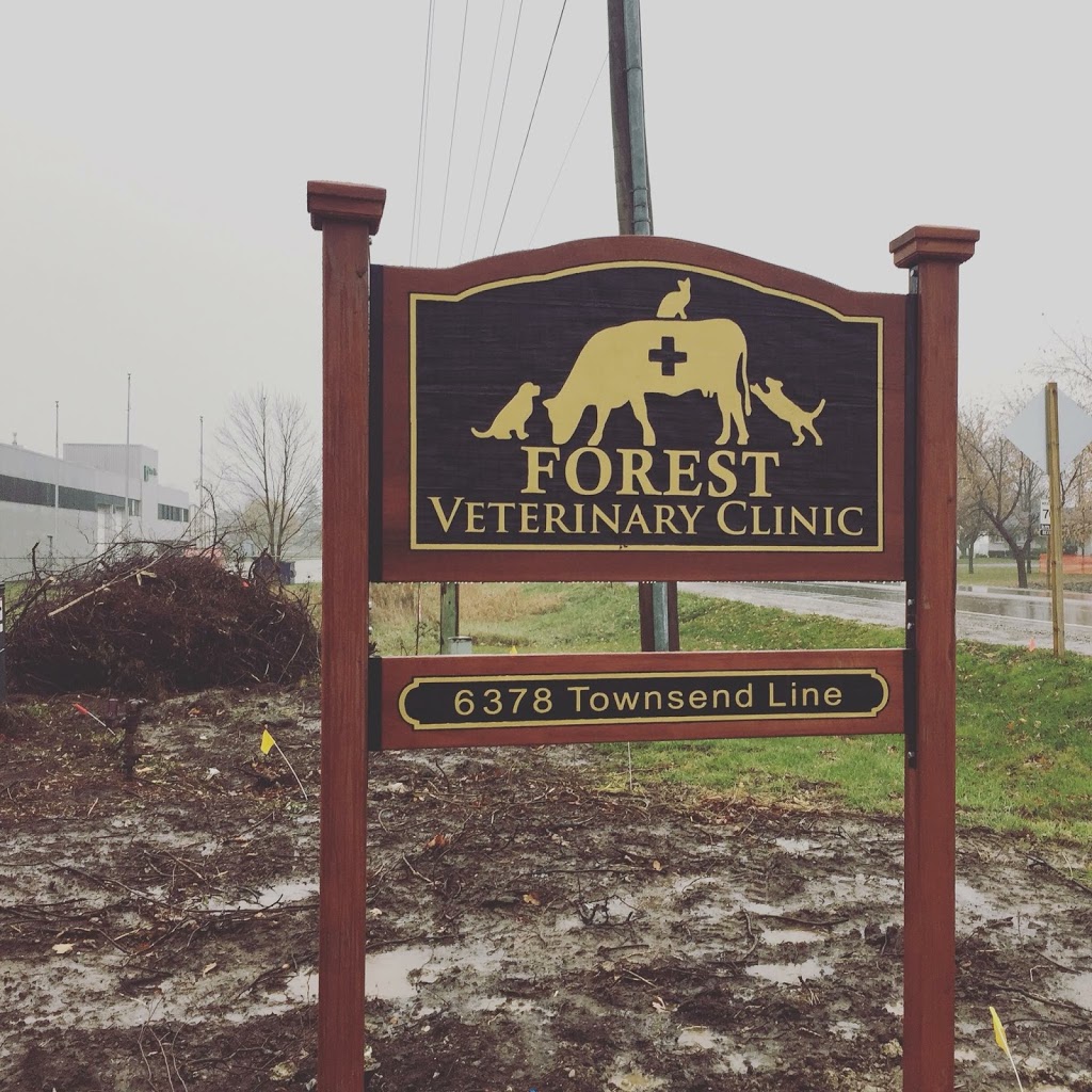 Forest Veterinary Clinic | 6378 Townsend Line, Forest, ON N0N 1J0, Canada | Phone: (519) 786-2306