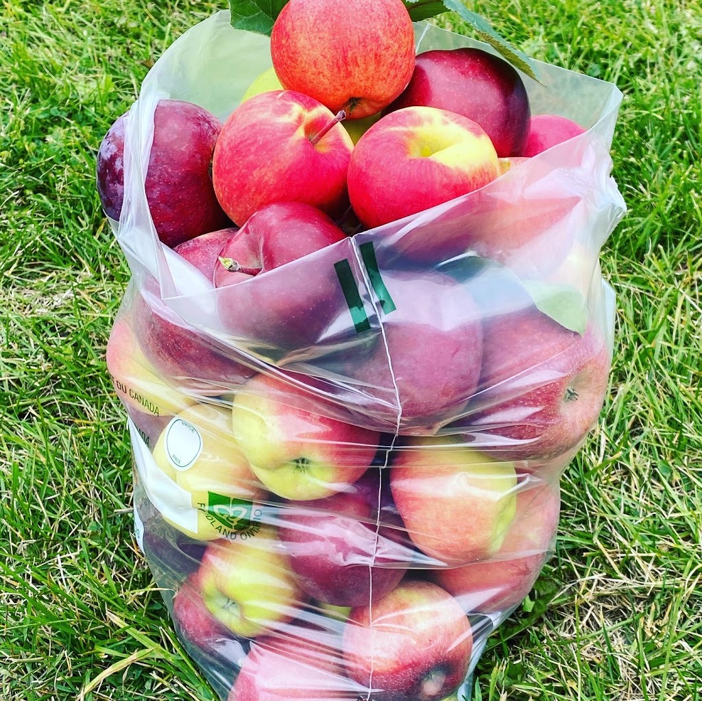 Archibald Orchards & Winery | 6275 Liberty St N, Bowmanville, ON L1C 6L1, Canada | Phone: (905) 263-2396