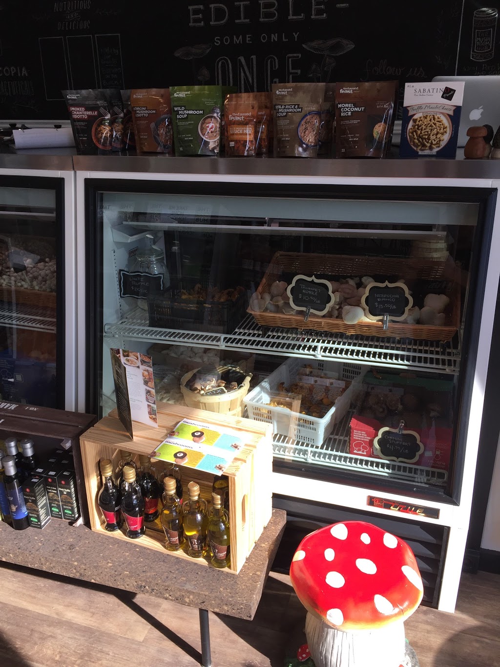 The Magical Mushroom Hub | 879 Walker Rd, Windsor, ON N8Y 2N4, Canada | Phone: (519) 890-1714