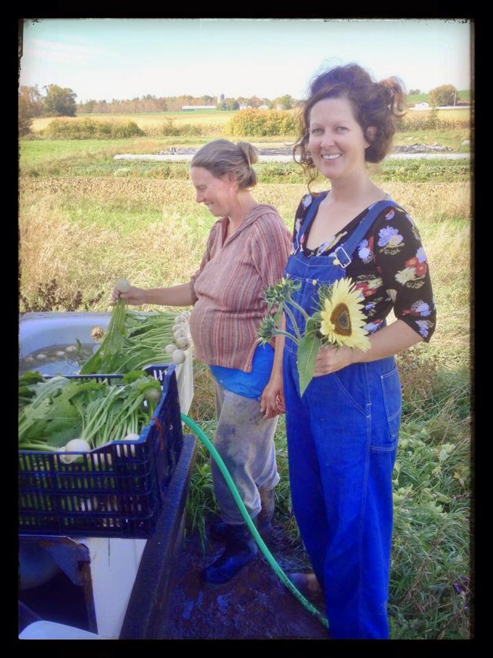 Knuckle Down Farm | 251 Anderson Island Rd, Frankford, ON K0K 2C0, Canada | Phone: (647) 928-5253