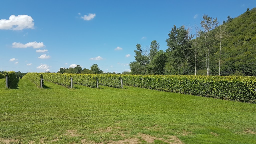 DOMAINE DU MONT-VÉZEAU | 365 QC-321, Ripon, QC J0V 1V0, Canada | Phone: (819) 428-2291