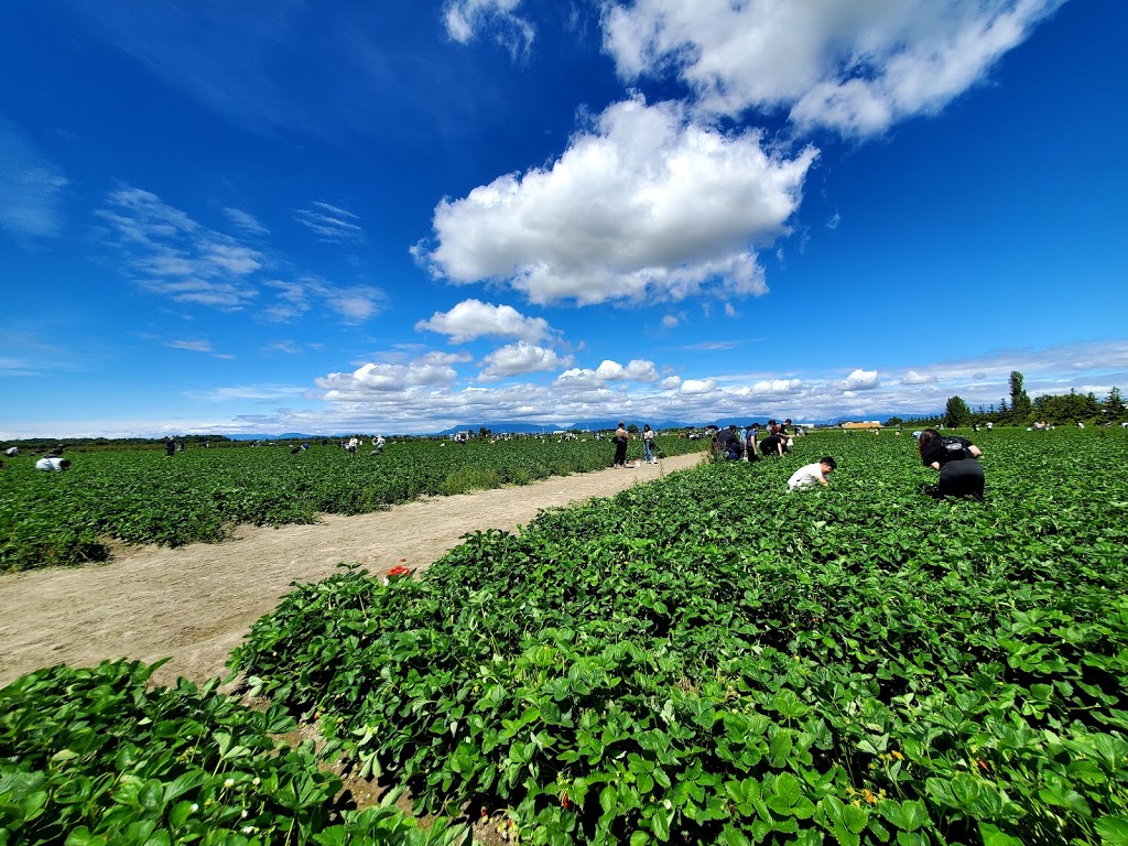 Emma Lea Farms 2727 Westham Island Rd, Delta, BC V4K 3N2, Canada
