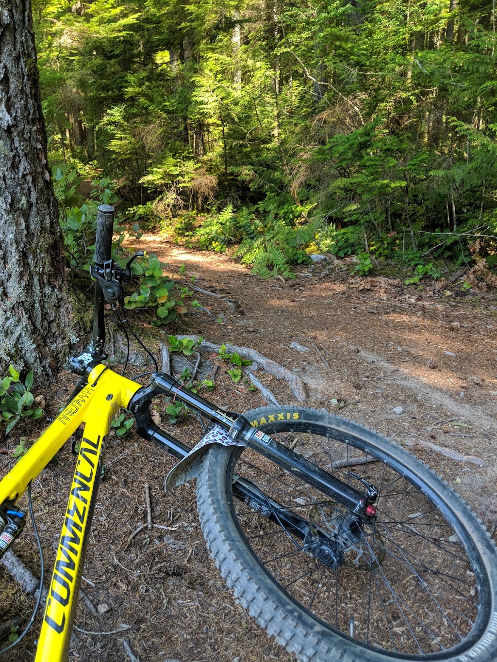 Ray Peters Trail | Squamish, BC V0N 1H0, Canada