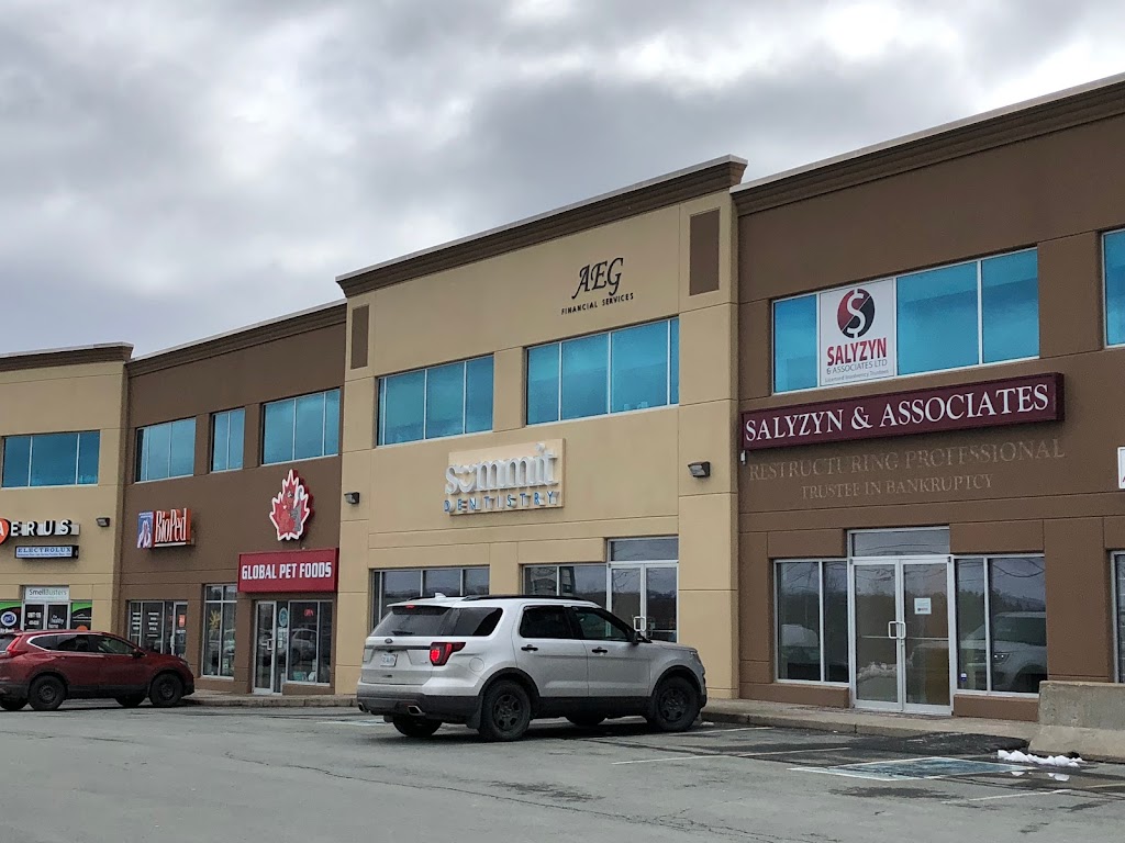 Salyzyn & Associates Limited | 30 Damascus Rd Suite 212, Bedford, NS B4A 0C1, Canada | Phone: (902) 865-5444