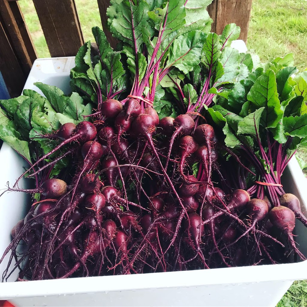 Tendergreens Farm | 3553 Milman Rd, Courtenay, BC V9J 1N8, Canada | Phone: (250) 896-4981