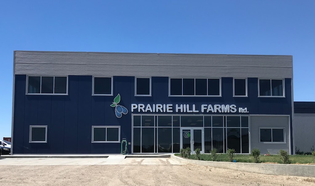 Prairie Hill Farms Ltd. | 105078 Range Rd 211, Picture Butte, AB T0K 1V0, Canada | Phone: (587) 328-3212