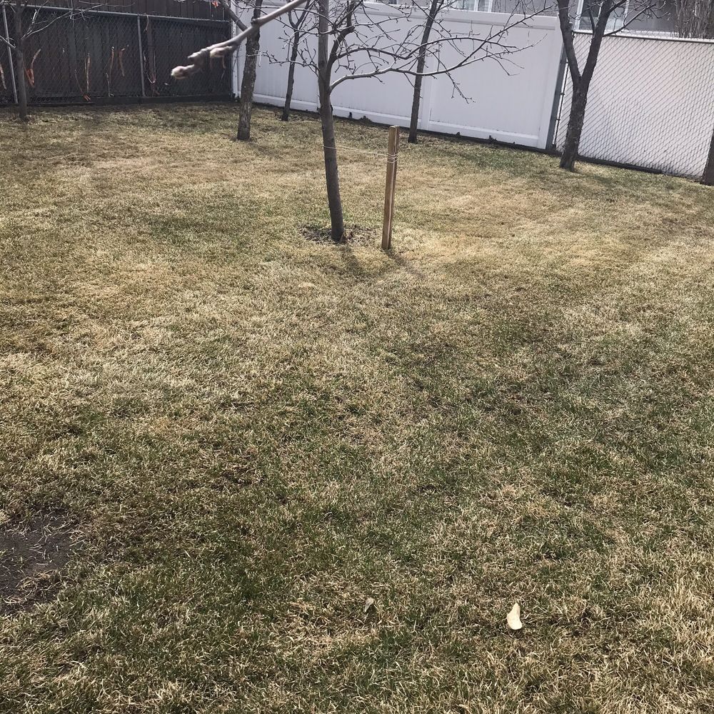 Top City Gardening and Landscaping | 6915 152c Ave NW, Edmonton, AB T5C 3P5, Canada | Phone: (780) 964-0116