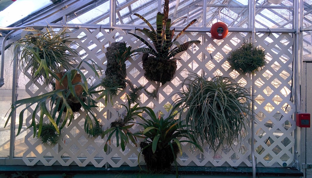 Westmount Conservatory and Greenhouses | 4626 Rue Sherbrooke O, Westmount, QC H3Z 2Z8, Canada | Phone: (514) 989-5230