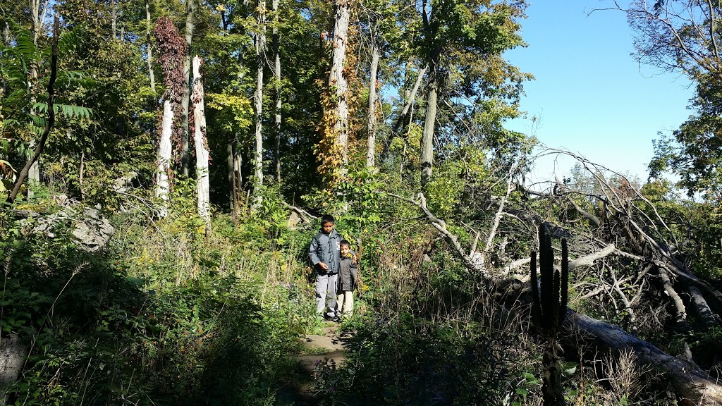 Mountainview Conservation Area | 4174 Mountainview Rd, Beamsville, ON L0R 1B2, Canada