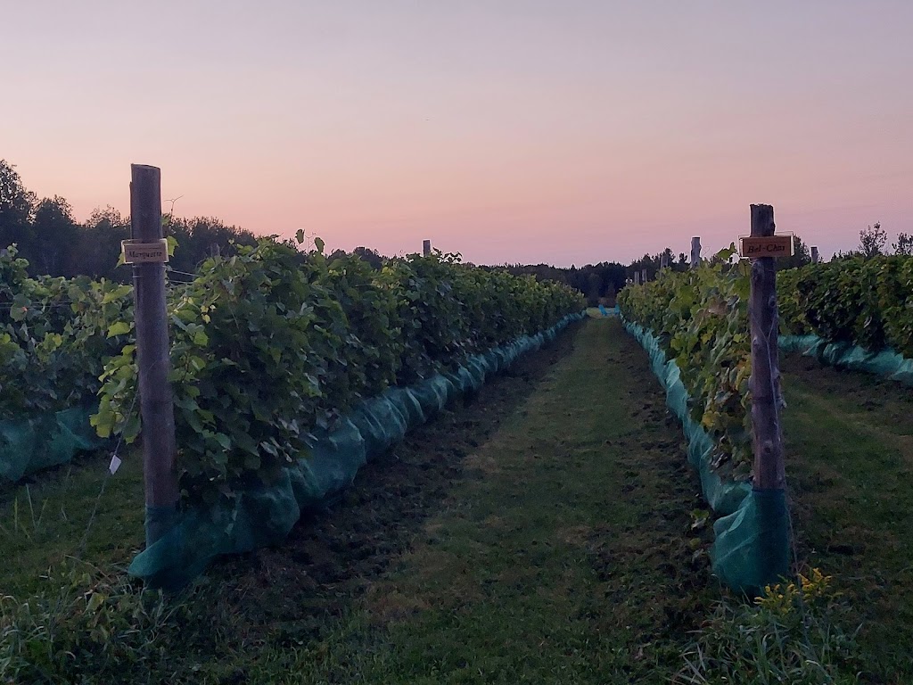 Vignoble Le 10-vin | 672 Rang Marigot, Saint-Apollinaire, QC G0S 2E0, Canada | Phone: (418) 881-1020