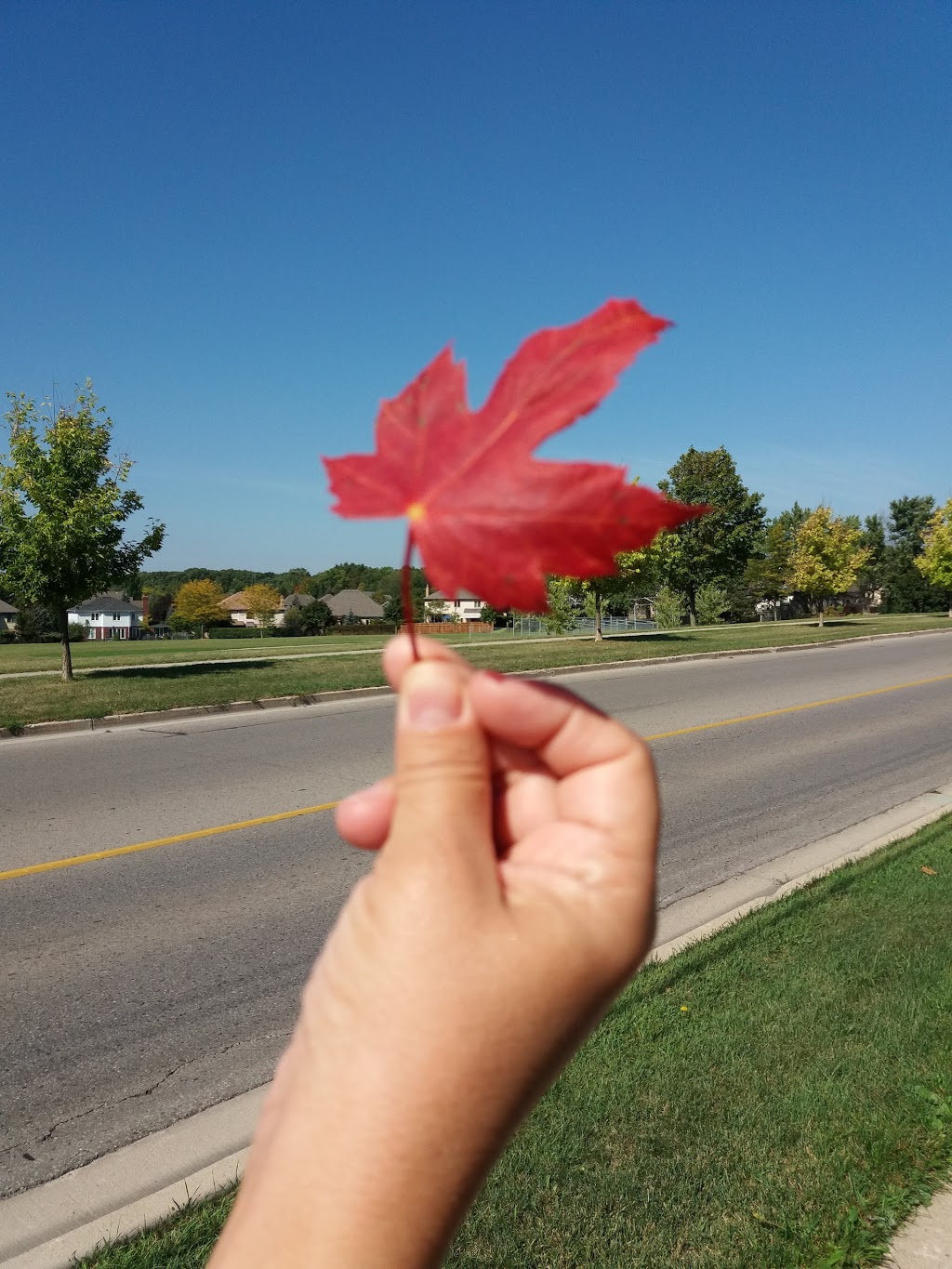 Hazelden Park | 430 Hyde Park Rd, London, ON N6H 3R9, Canada | Phone: (519) 661-5575