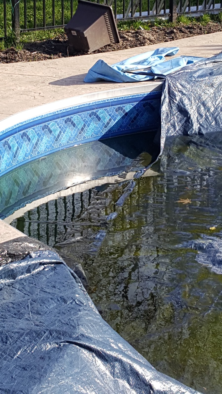 Betz Pools | 5688 Main St, Whitchurch-Stouffville, ON L4A 7Z9, Canada | Phone: (905) 640-1424