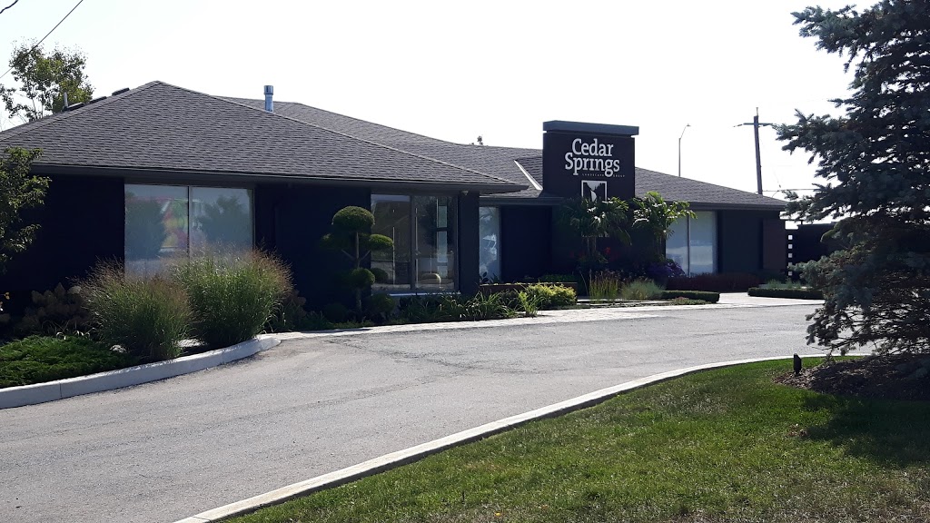 Cedar Springs Landscapes | 3242 South Service Rd W, Oakville, ON L6L 6T1, Canada | Phone: (905) 333-6789