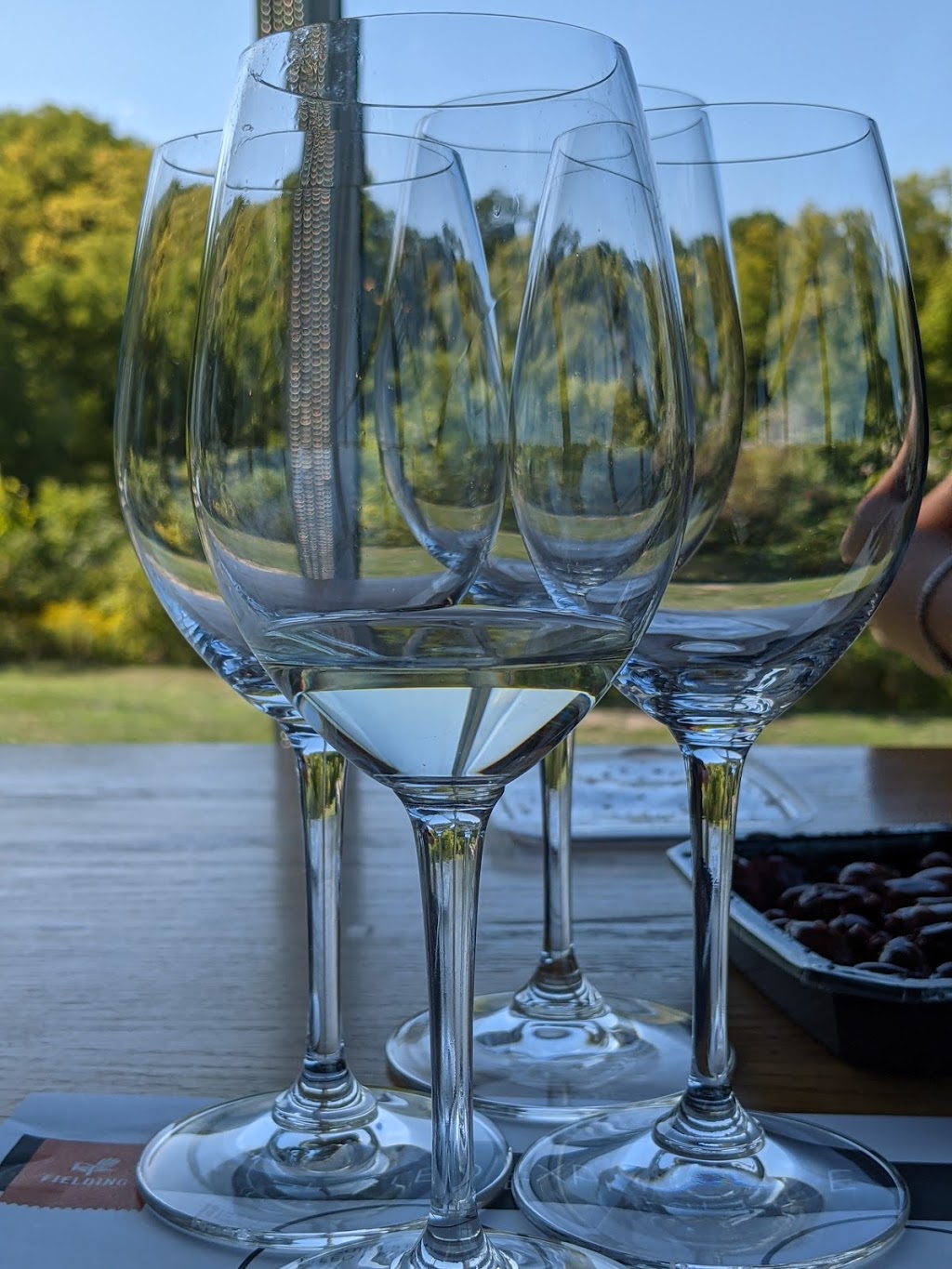 Fielding Estate Winery | 4020 Locust Ln, Beamsville, ON L0R 1B2, Canada | Phone: (888) 778-7758