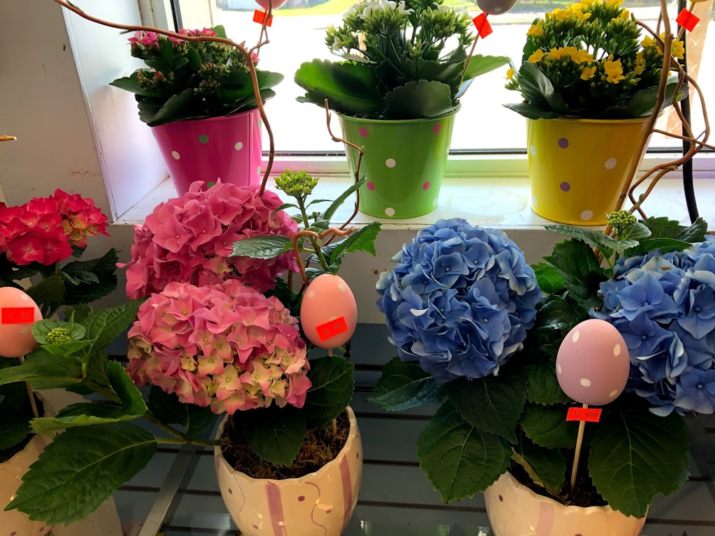 Happy Market | 48 Main St E, Port Colborne, ON L3K 1S1, Canada | Phone: (905) 834-2155