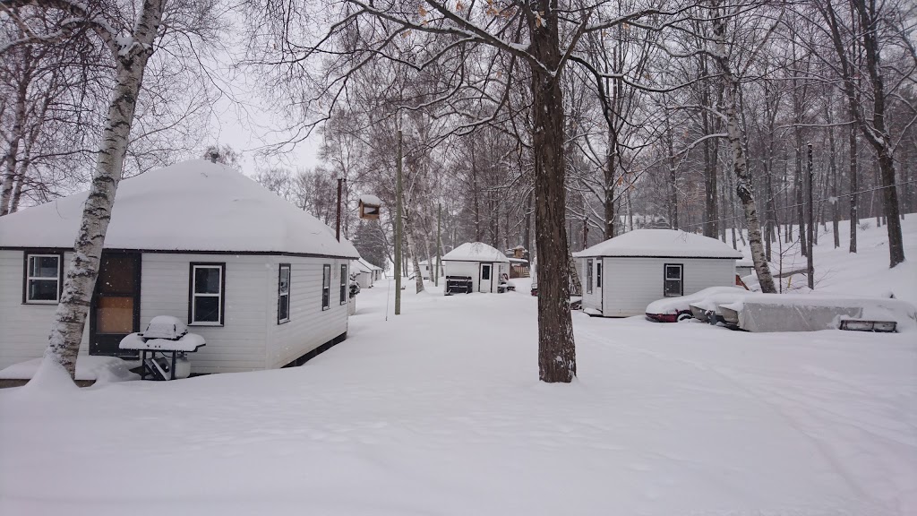 The Birches Resort | 148 Fire Rte 36, Buckhorn, ON K0L 1J0, Canada | Phone: (800) 265-9586