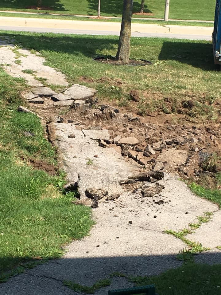 Brook Restoration Ltd | 11 Kelfield St, Etobicoke, ON M9W 5A1, Canada | Phone: (416) 663-7976