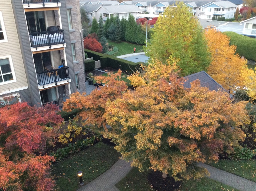 Cornerstone | 5655 210a St #103, Langley, BC V3A 0C9, Canada | Phone: (604) 534-6000