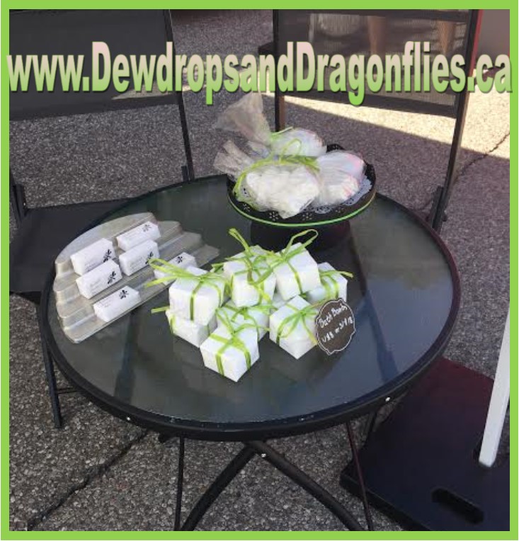 Dewdrops & Dragonflies | 247 Hodgson Dr, Newmarket, ON L3Y 1E3, Canada | Phone: (416) 786-1497