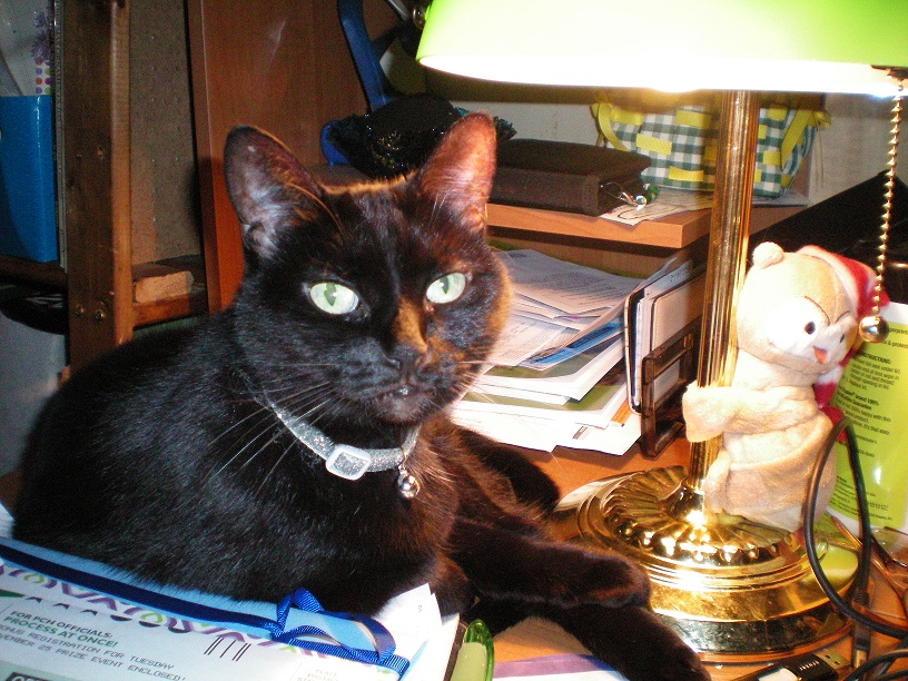 Veterinary Associates | 3801 Lapeer Rd, Port Huron, MI 48060, USA | Phone: (810) 985-6144