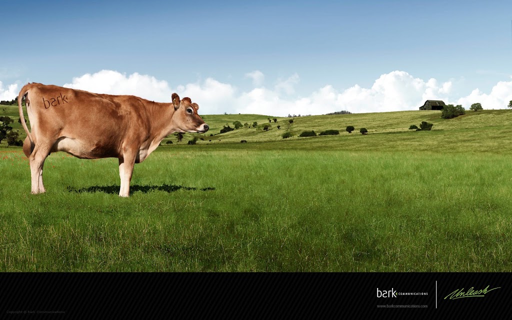 Bark Communications | 60 Meg Dr #3, London, ON N6E 3T6, Canada | Phone: (519) 963-4710