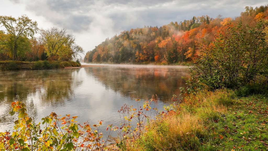 Parc La Conception | Camping VR Parkbridge | 1158 Route des Ormes, La Conception, QC J0T 1M0, Canada | Phone: (819) 686-5596