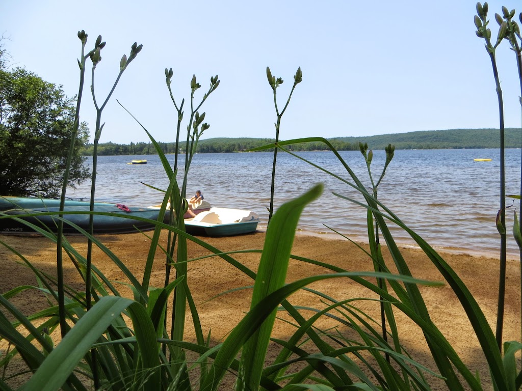 Sand Lake Cottages & Inn | Hwy 518, Kearney, ON P0A 1M0, Canada | Phone: (705) 636-5047