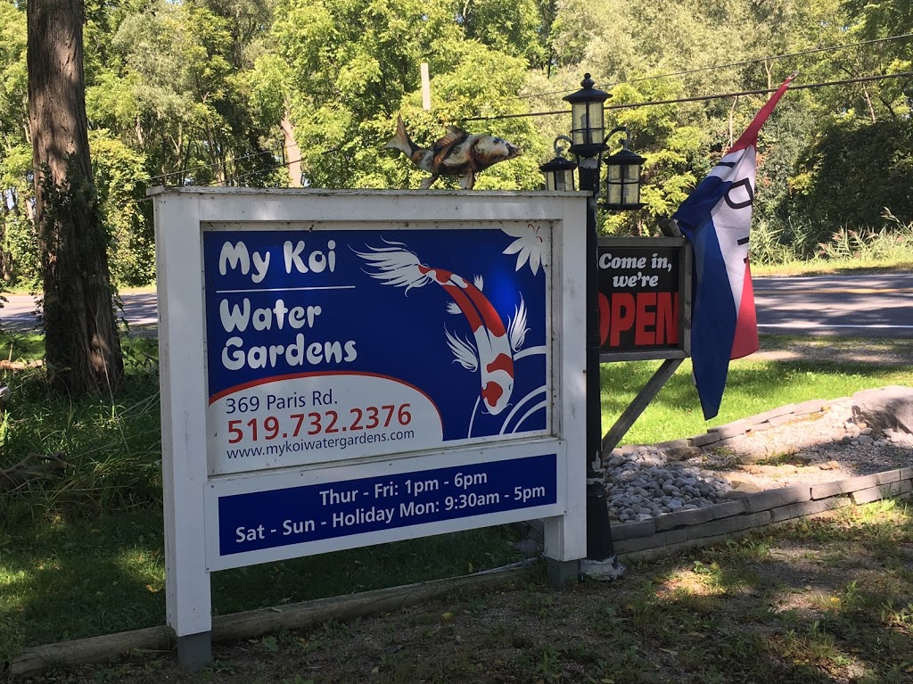 My Koi Water Gardens | 369 Paris Rd, Brantford, ON N3T 5L8, Canada | Phone: (519) 281-6824