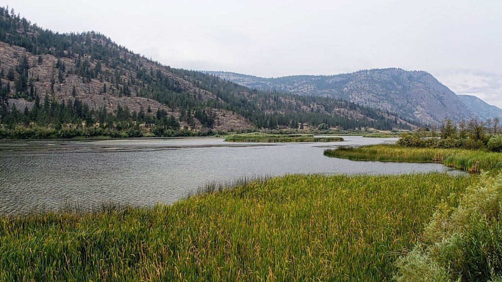 Vaseux Lake Bird Sanctuary | Okanagan Falls, BC V0H 1R0, Canada