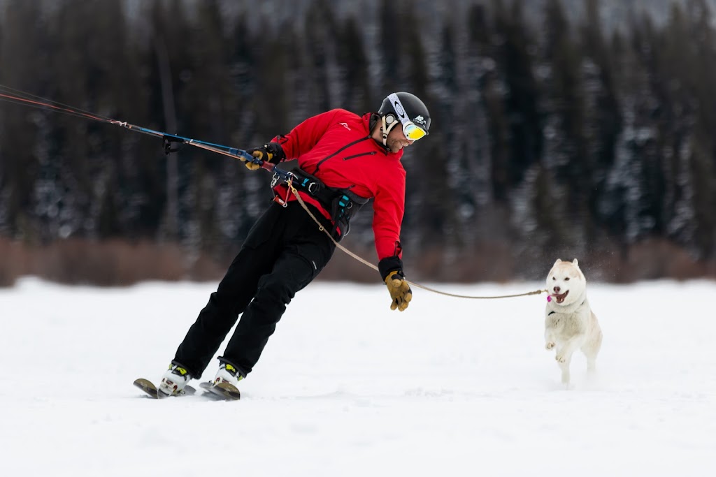 Kite Alberta | 1451 A Palliser Trail #406, Canmore, AB T3H 5K7, Canada | Phone: (403) 437-0995