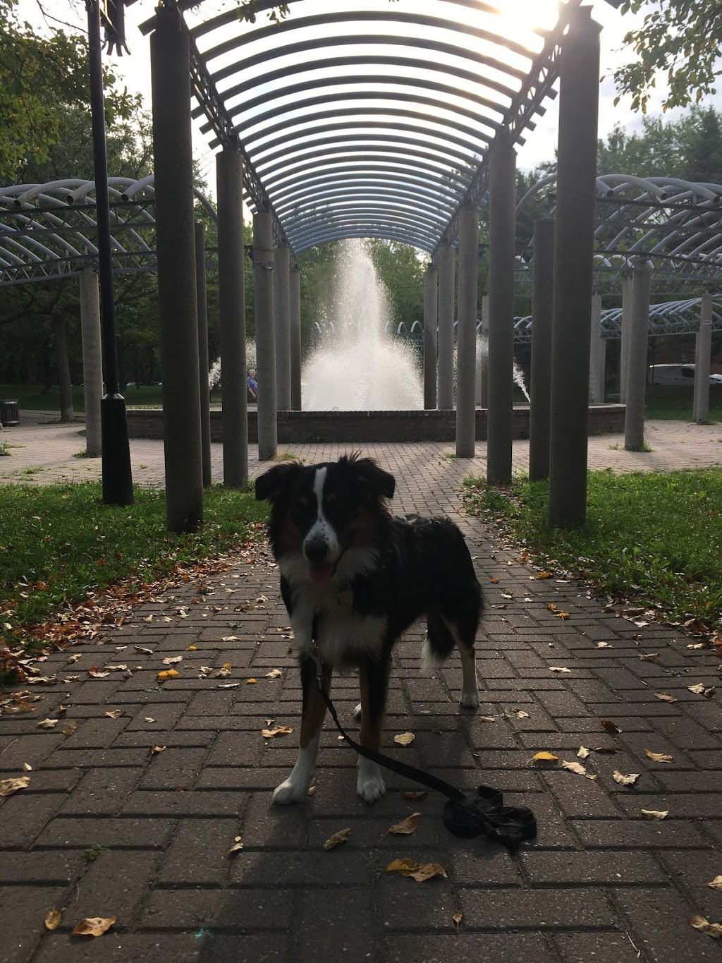 J. Arthur Champagne Park | Rosemont-La Petite-Patrie, Montreal, QC H1X, Canada