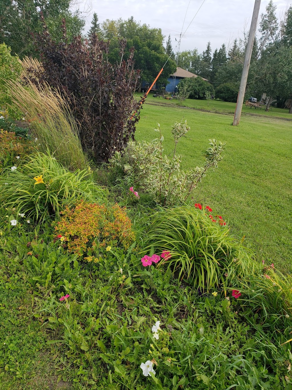 Maplewood Acres Greenhouse | 1 Avenue, Camrose County No. 22, AB T0B 0G0, Canada