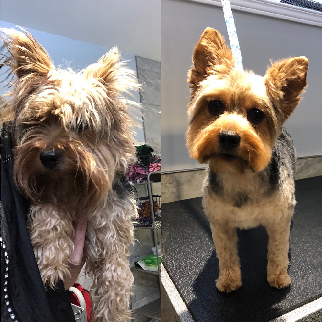 Scruff McGruff Day Spaw | 168 Coker Cres, Rockwood, ON N0B 2K0, Canada | Phone: (905) 702-2485