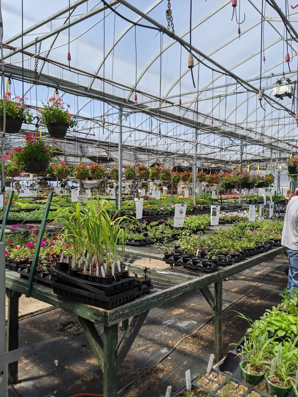 Stonepath Greenhouses | 1142 Quin Mo Lac Rd, Tweed, ON K0K 3J0, Canada | Phone: (613) 478-1675
