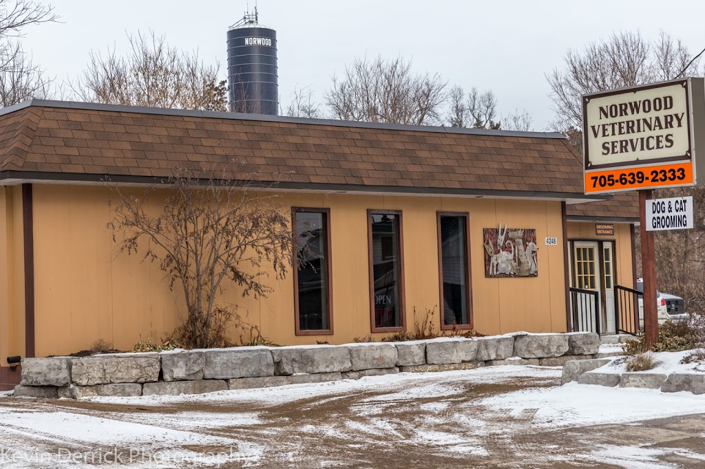 Norwood Veterinary Services | 4248 Hwy 7, Norwood, ON K0L 2V0, Canada | Phone: (705) 639-2333