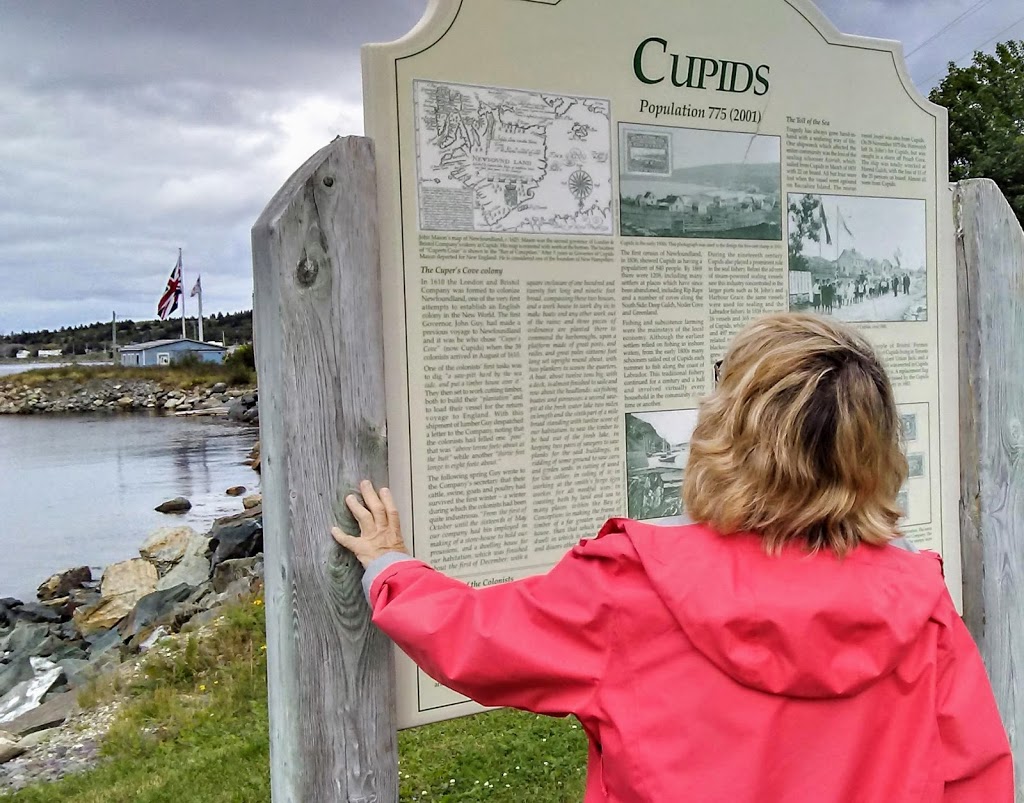 Cupids Cove Plantation | 322-324 Seaforest Dr, Cupids, NL A0A 2B0, Canada | Phone: (709) 528-1413