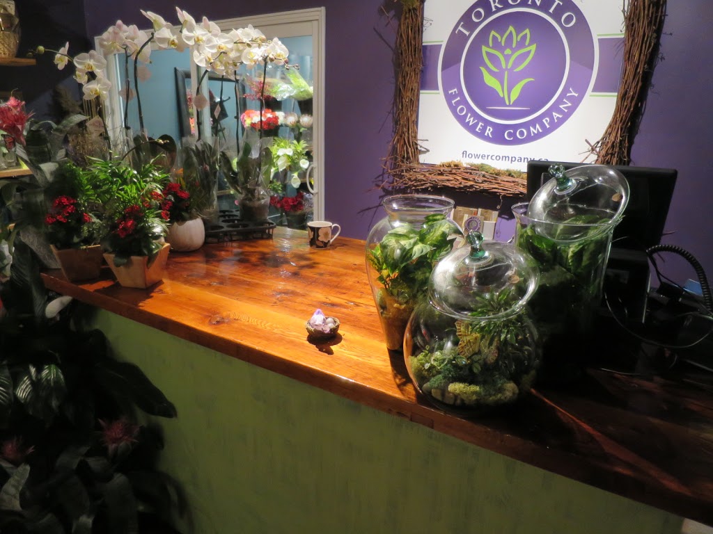 Toronto Flower Co. | 100 Brydon Dr E, Etobicoke, ON M9W 4N9, Canada | Phone: (416) 855-9984