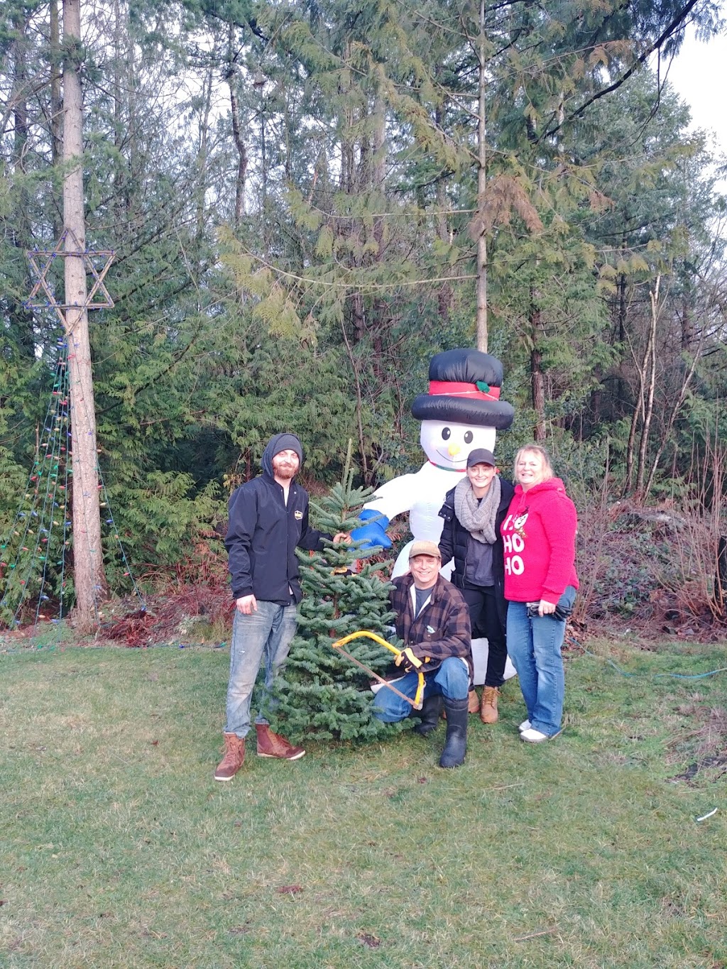 Tannenbaum Christmas Tree Farm | 5398 252 St, Aldergrove, BC V4W 1T1, Canada | Phone: (778) 552-3259