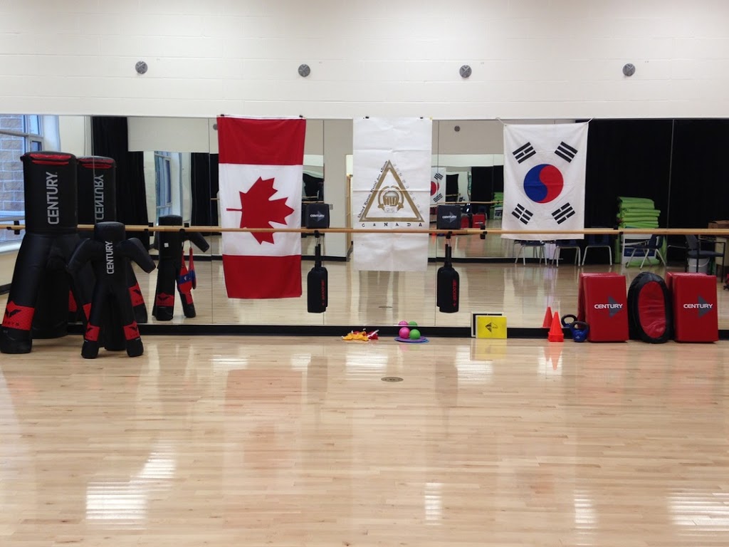 Korean Martial Arts Center | 460 Mapleton Ave, Barrie, ON L4N 9C2, Canada | Phone: (705) 220-6244