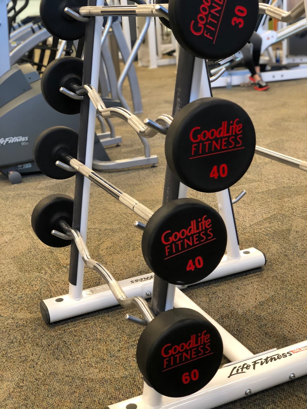 GoodLife Fitness Scarborough Town Centre Womens Only | 1755 Brimley Rd, Scarborough, ON M1P 0A3, Canada | Phone: (416) 296-1276