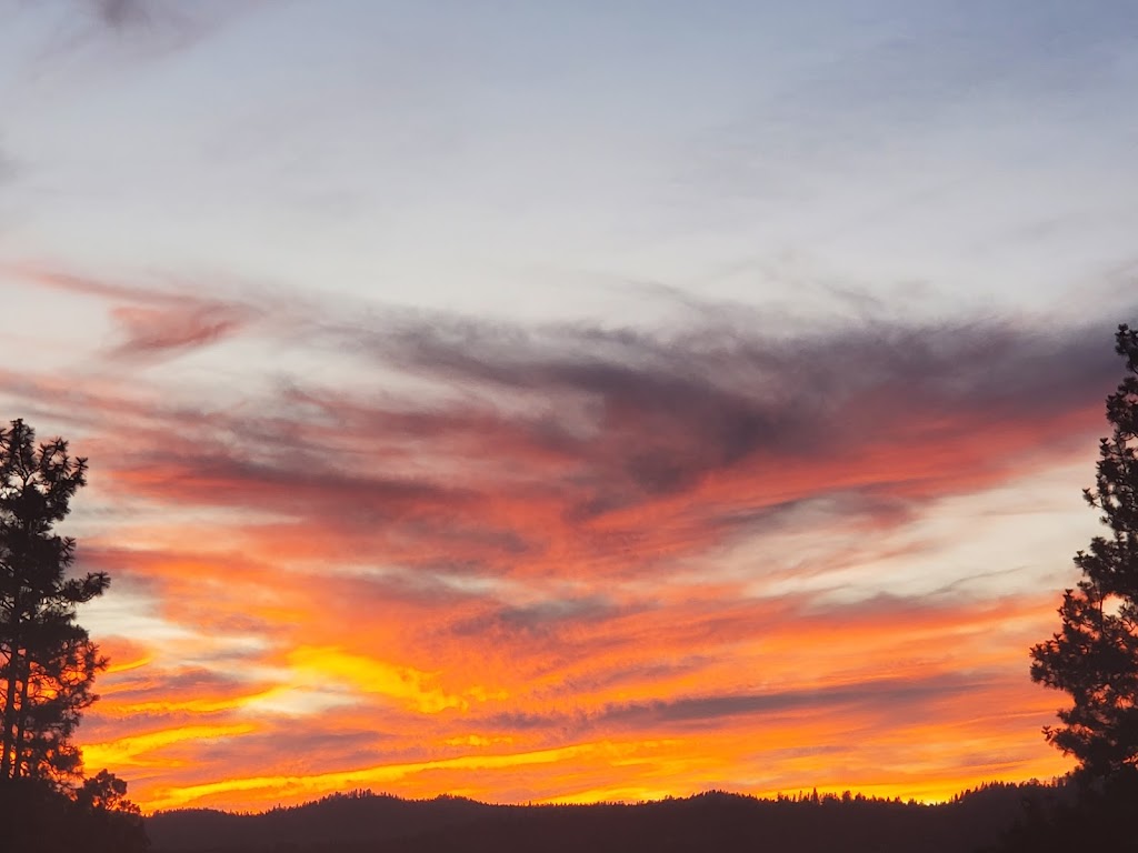 Rocky Pine RV Park | 2420 30 Ave N, Cranbrook, BC V1C 7B1, Canada | Phone: (778) 687-2254