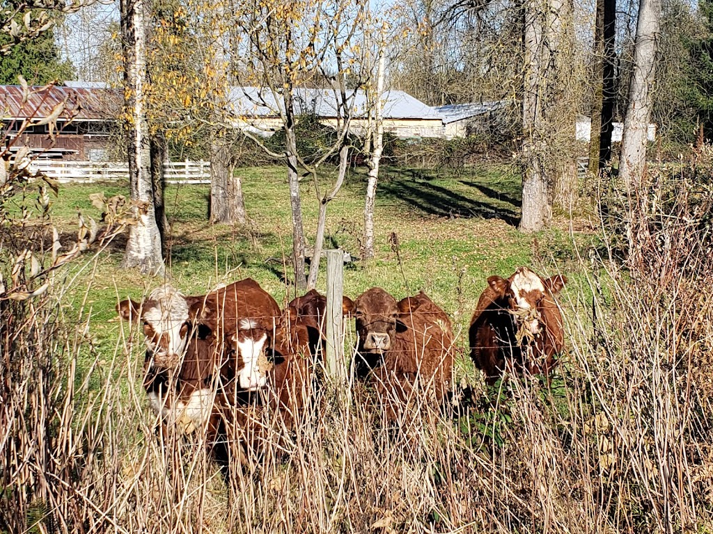 The Blue Farm House | 824 240 St, Langley Twp, BC V2Z 2Y3, Canada | Phone: (604) 910-0995