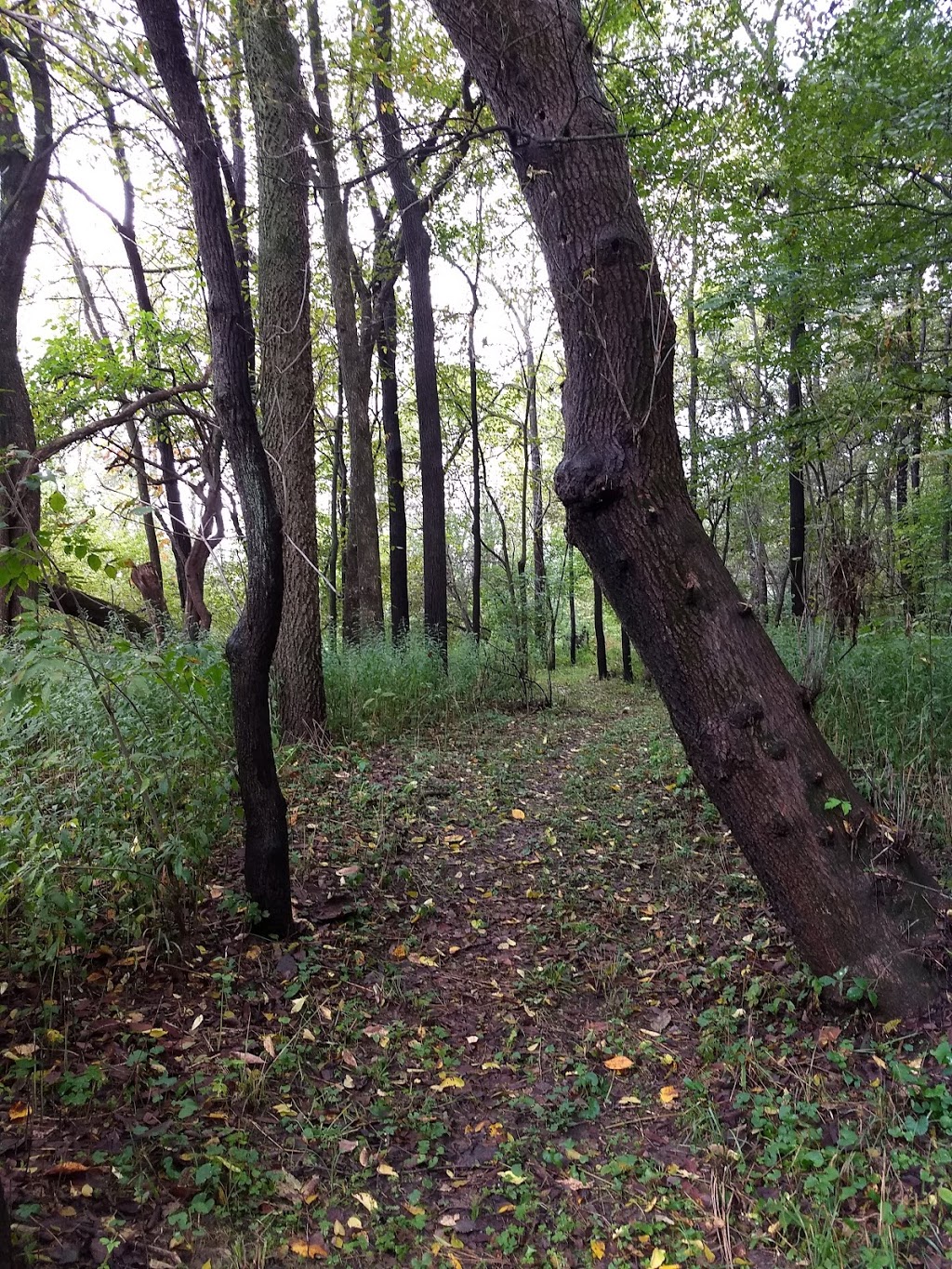 China Township Belle River Access Park | Belle River Rd, China Township, MI 48054, USA