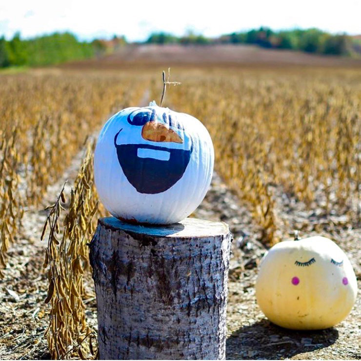 Ferme de Citrouilles Roberge et Gosselin | 1736 Chem. Royal, Saint-Pierre, QC G0A 4E0, Canada | Phone: (418) 952-2744