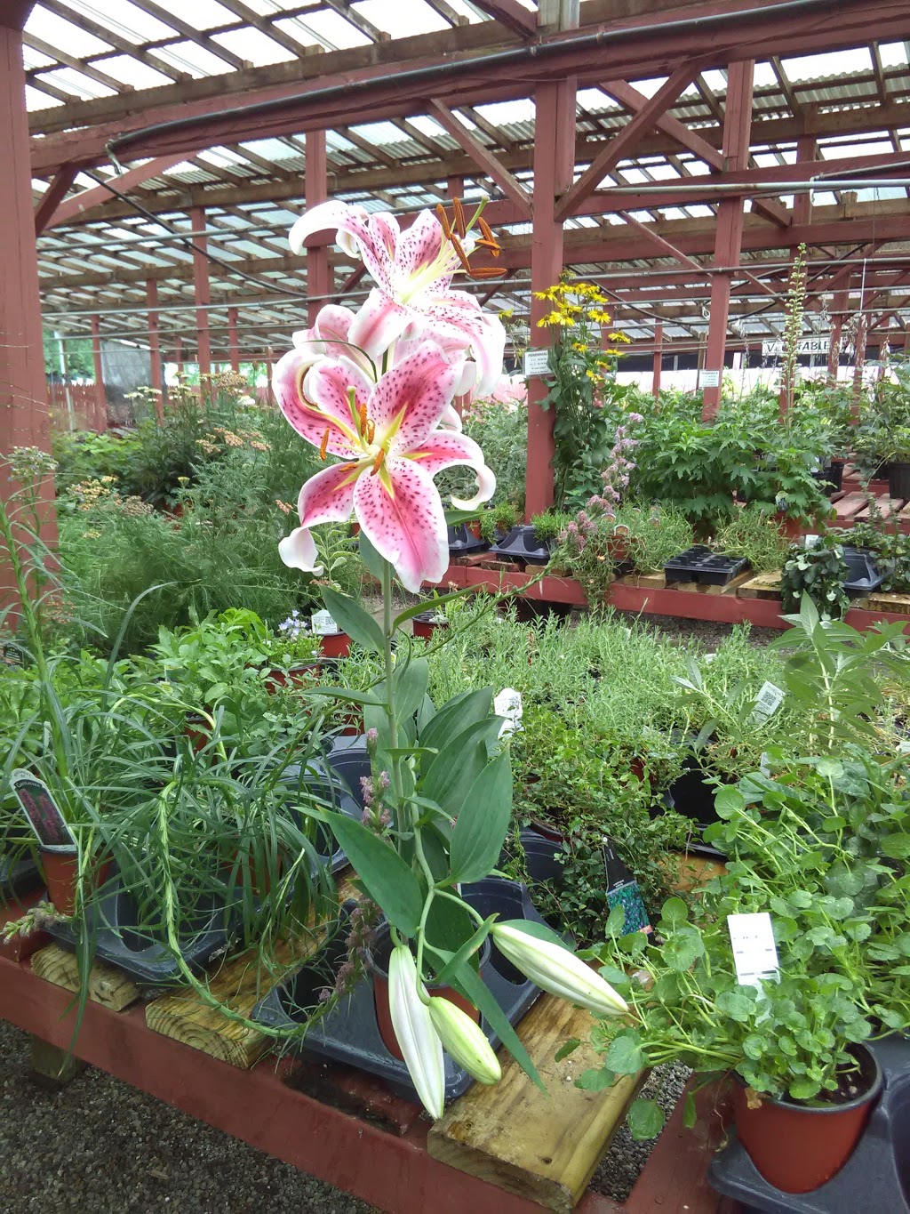 Feed N Seed Inc | 3658 Lapeer Rd, Port Huron, MI 48060, USA | Phone: (810) 982-8861