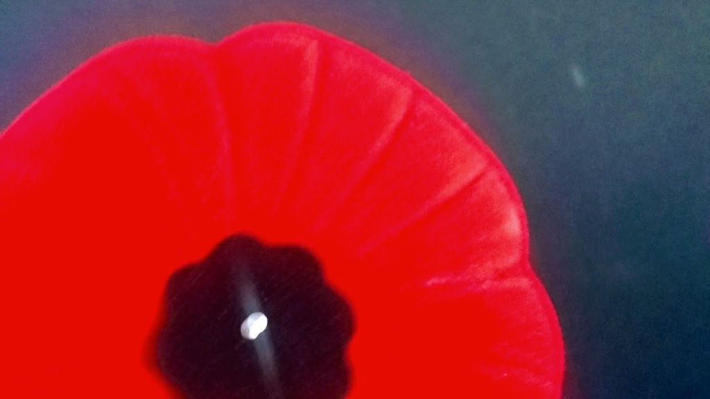 Poppies Garden | 5750 Spindrift St, Sechelt, BC V0N 3A3, Canada | Phone: (604) 989-7290