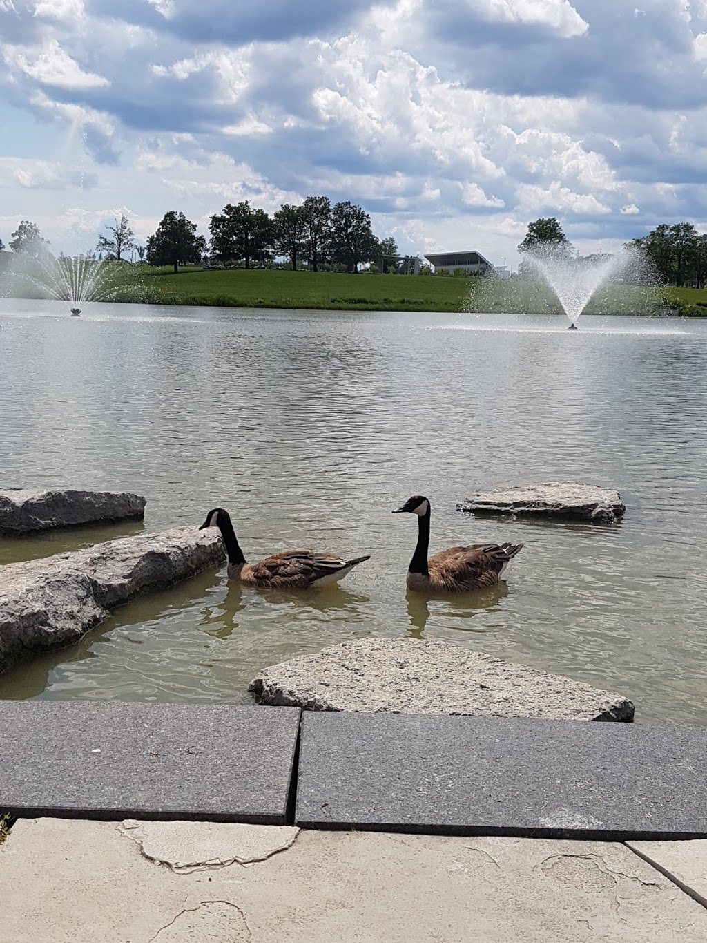 Downsview Park | 35 Carl Hall Rd, North York, ON M3K 2B6, Canada | Phone: (416) 952-2222